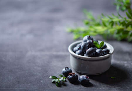 sweet fresh blueberries in a bowl  with green brunch on a dark gray background. Dark concept photo. Macro,  close up  and copy space imageの写真素材