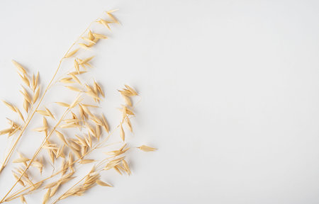 Oats dry brunch on white background. Raw and vegan product. Natural food. Top view and copy space...