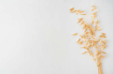 Oats dry brunch on white background. Raw and vegan product. Natural food. Top view and copy space imageの写真素材