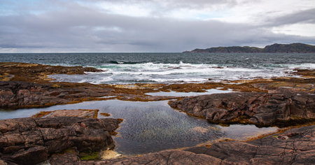 The beach on the northern ocean is made of stones covered with colorful moss. Teriberka, Barents...