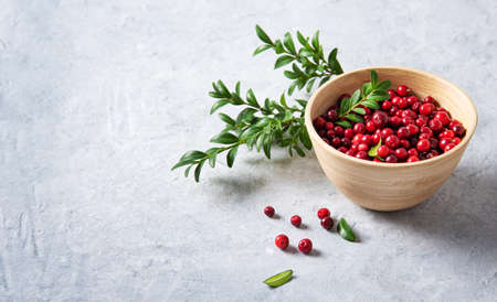 juicy forest lingonberry  in a wooden bowl on white table. Concept healthy food. Close up  and copy space imageの写真素材