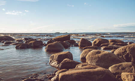 Beautiful sunrise on the shore of the Ladoga lake with stones and seaweed at sunny morning. Ladoga lake,  Kareliaの写真素材