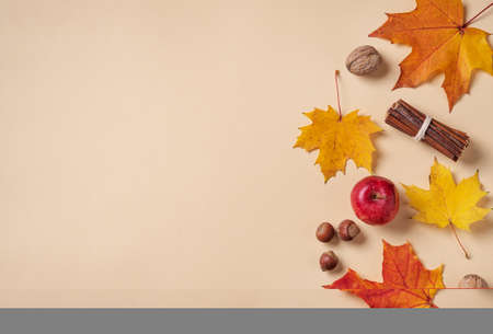 Autumn flat lay with bright colorful maple leaves  with apple and nuts on orange background. Top view and copy  space.の写真素材