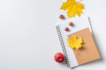Concept autumn flat lay with yellow maple leaves on a notebook and notepad and a red apple on a white table. Top view and copy space.の写真素材