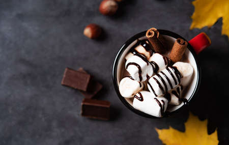 a cup of hot chocolate with marshmallow, nuts and cinnamon on a dark gray table. Autumn concept of a  warming drink. Top view and copy space.の写真素材