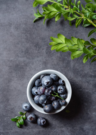 sweet fresh blueberries in a bowl  with green brunch on a dark gray background. Dark concept photo....