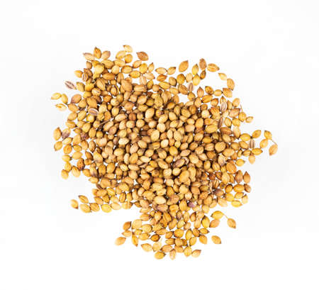 Aroma coriander seeds isolated on white background. Top view.の写真素材