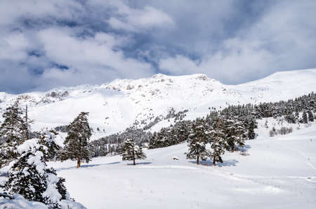 Beautiful landscape of the Arkhyz ski resort with mountains, snow, forest and freeride on a sunny winter day. Caucasus  Mountains, Russia.の写真素材