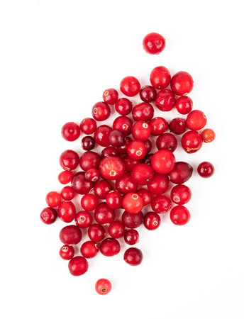 Juicy fresh forest red cranberry on a white background. Top view and copy space.