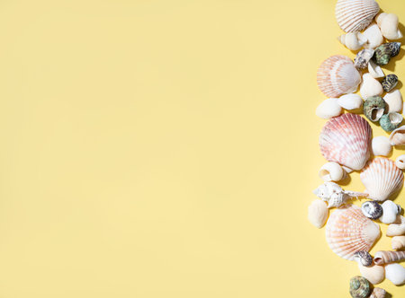 Seashells on a bright yellow background. The concept of summer holidays. Top view and copy space.