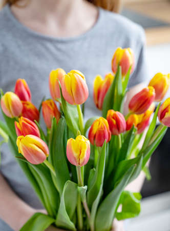 A child is holding a beautiful bouquet of red and yellow tulips in close-up. Spring time concept.の写真素材