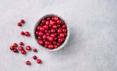 juicy forest lingonberry in a  bowl on light textured background. Healthy food concept. Top view and copy space.の写真素材