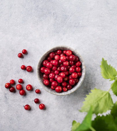 Juicy forest lingonberry in a  bowl on light textured background with mint leaf. Healthy food concept. Top view and copy space.の写真素材