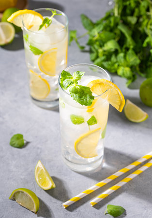 Mojito drink with fresh lemons. Refreshing cocktail with lime, lemon, mint and ice on gray background. Summer cold drinks concept.の写真素材