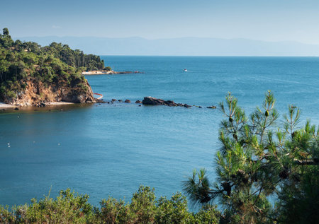 Beautiful panoramic view of the Black Sea with  islands in the background. Rocky coast with trees and pines on a sunny summer day. Turkey, Prince Islands.の写真素材