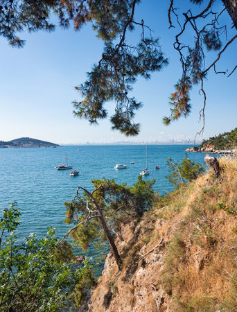 Beautiful panoramic view of the Black Sea with yachts and the city in the background. Rocky coast with trees and pines on a sunny summer day. Turkey, Prince Islands.の写真素材