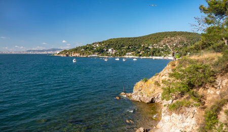 Beautiful panoramic view of the Black Sea with yachts and the city in the background. Rocky coast with trees and pines on a sunny summer day. Turkey, Prince Islands.の写真素材