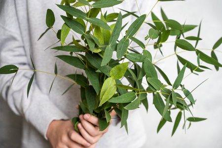 A bouquet of fresh eucalyptus is hold in the hands of a girl in a light sweater. Concept of 8 March, happy women's day.の写真素材