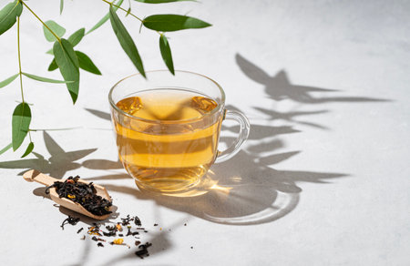 Fragrant herbal tea in a glass cup on a white background with eucalyptus branches and a hard shade. The concept of a healthy drink for breakfast. Space for text.の写真素材