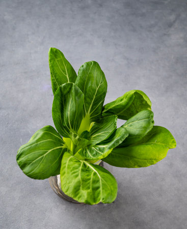 Fresh pak Choi Chinese Cabbage on dark background. The concept of healthy vegetarian food. Top view and copy space.の写真素材