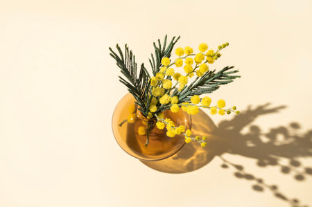 A bouquet of yellow mimosa flowers stands in a glass vase with shadow on a yellow background. Concept of 8 March, happy women's day. Top view and copy space.の写真素材