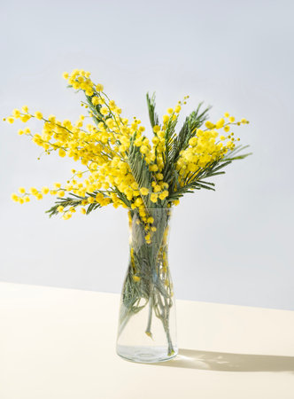 A bouquet of yellow mimosa flowers stands in a glass vase with shadow on a yellow background. Concept of 8 March, happy women's day. Front view.の写真素材