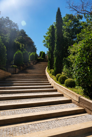 Stairs in the city park with bushes and trees on a sunny summer day. Turkey.