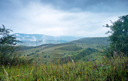 Landscape with mountains and fields with trees, flowers on a cloudy summer day after rain with a haze. Dagestan, Russia.の写真素材