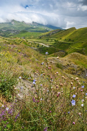 Landscape with mountains and fields with grass, flowers on a cloudy summer day. Dagestan, Russia.の写真素材
