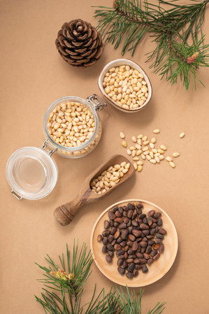 Pine nuts  in a jar and wooden scoop  on a yellow background with branches of pine needles and a cone close up. The concept of a natural, organic and healthy superfood and snack.  Top view.の写真素材