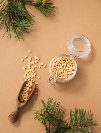 Pine nuts  in a jar and wooden scoop  on a yellow background with branches of pine needles. The concept of a natural, organic and healthy superfood and snack. Top view.の写真素材