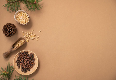 Flat lay of pine nuts in a bowl and wooden scoop on a background with branches of pine needles and a cone. The concept of a natural, organic and healthy superfood and snack.  Top view and copy space.の写真素材