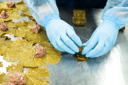 A woman in gloves prepares dolma - meat with vegetables wrapped in grape leaves. Eastern traditional national cuisine. Food production.の写真素材