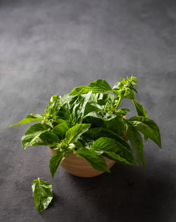 Fresh basil in a wooden bowl on a dark background close up. The concept of dietary and spicy herbs. Rustic style. Free space for text.の写真素材