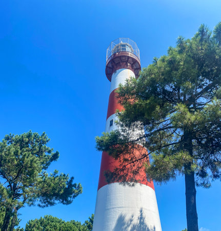 Landscape with a white-red lighthouse in a port city among the trees on a summer day. Poti, Georgia.の写真素材