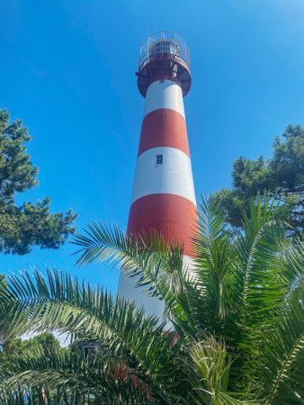 Landscape with a white-red lighthouse in a port city among the palm trees on a summer day. Poti, Georgia.の写真素材