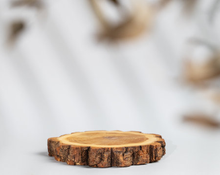 Abstract empty wooden podium with shadows and leaves on a gray background. Layout concept for promotional product presentation, sale or cosmetics display. Front view and copy space.の写真素材