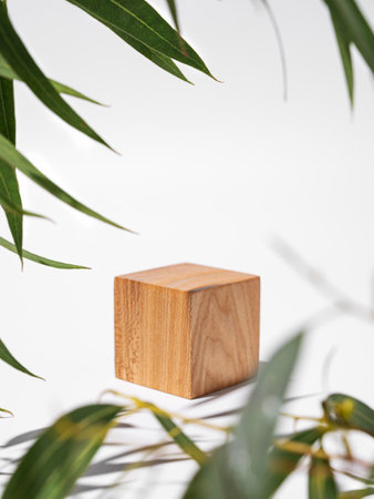 Empty wooden cube with shadows and green leaves on a white background. Layout concept for presentation of promotional products, sale or demonstration of cosmetics. Front view and copy space.の写真素材