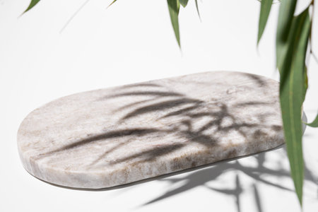 Empty marble board or tray with shadows and green leaves on white background. Layout concept for presentation of promotional products, sale or demonstration of cosmetics. Ð¡opy space.の写真素材