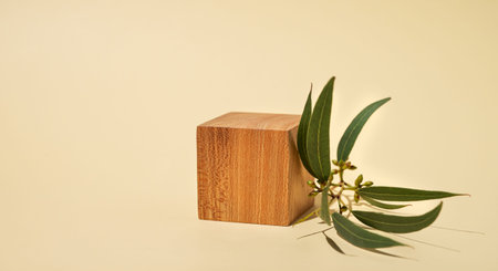Empty wooden cube with shadows and green leaves on a yellow background. Layout concept for...