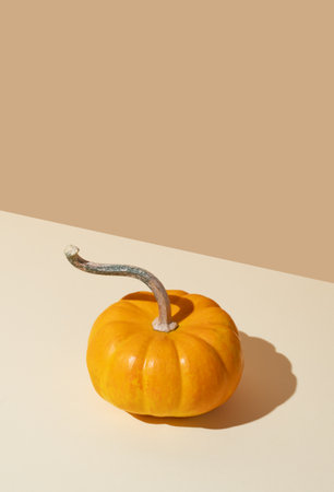 Decorative pumpkin on yellow background with hard shadow. Autumn holiday concept of Thanksgiving or Halloween. Minimalistic composition for advertising or banner design. Top view and copy space.の写真素材