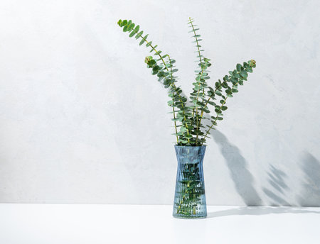Glass vase with eucalyptus branches on light concrete background with sunlight. Natural and eco-friendly interior design concept in Scandinavian style. Front view and copy space.の写真素材