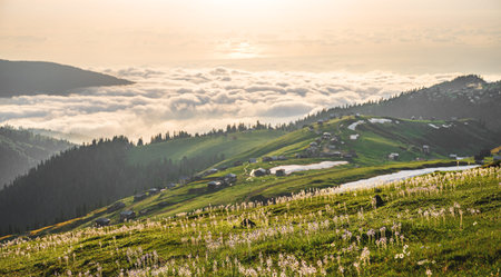 Mountain landscape with blooming plants, sunrise or sunset and valley in the background.  Concept of beautiful nature and view of the valley in Adjara, Georgia.の写真素材