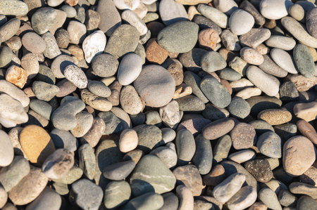 A variety of smooth pebbles of different colors and shapes lying tightly on a sunlit beach surface. Natural background concept for nature or texture themes. Top view.の写真素材