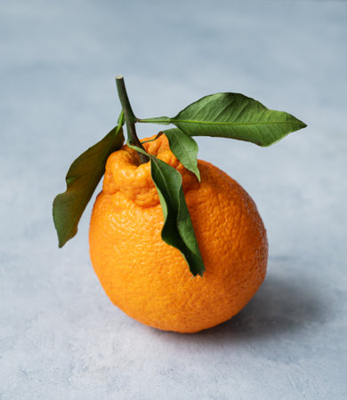 Ripe and juicy orange with leaves on a light textured blue background close up. Organic citrus fruit concept.の写真素材