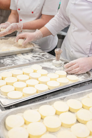 Chefs in uniform prepare cottafe cheese or syrniki on metal trays sprinkled with flour in a bakery...