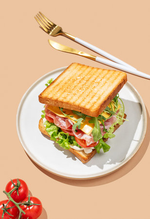 Club sandwich of toast bread with bacon, cheese, tomatoes, lettuce, arugula and sauce in a plate on...