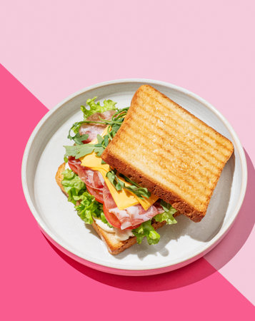 Club sandwich of toast bread with bacon, cheese, tomatoes, lettuce, arugula and sauce in a plate on...