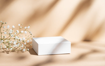 White square box on a beige background with gypsophila flowers and soft shadows. Concept abstract geometric design for advertising or product demonstration. Front view, copy space.の写真素材