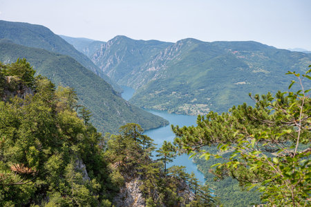 Canyon river meandering among green forested mountains, nature landscape photography under clear...